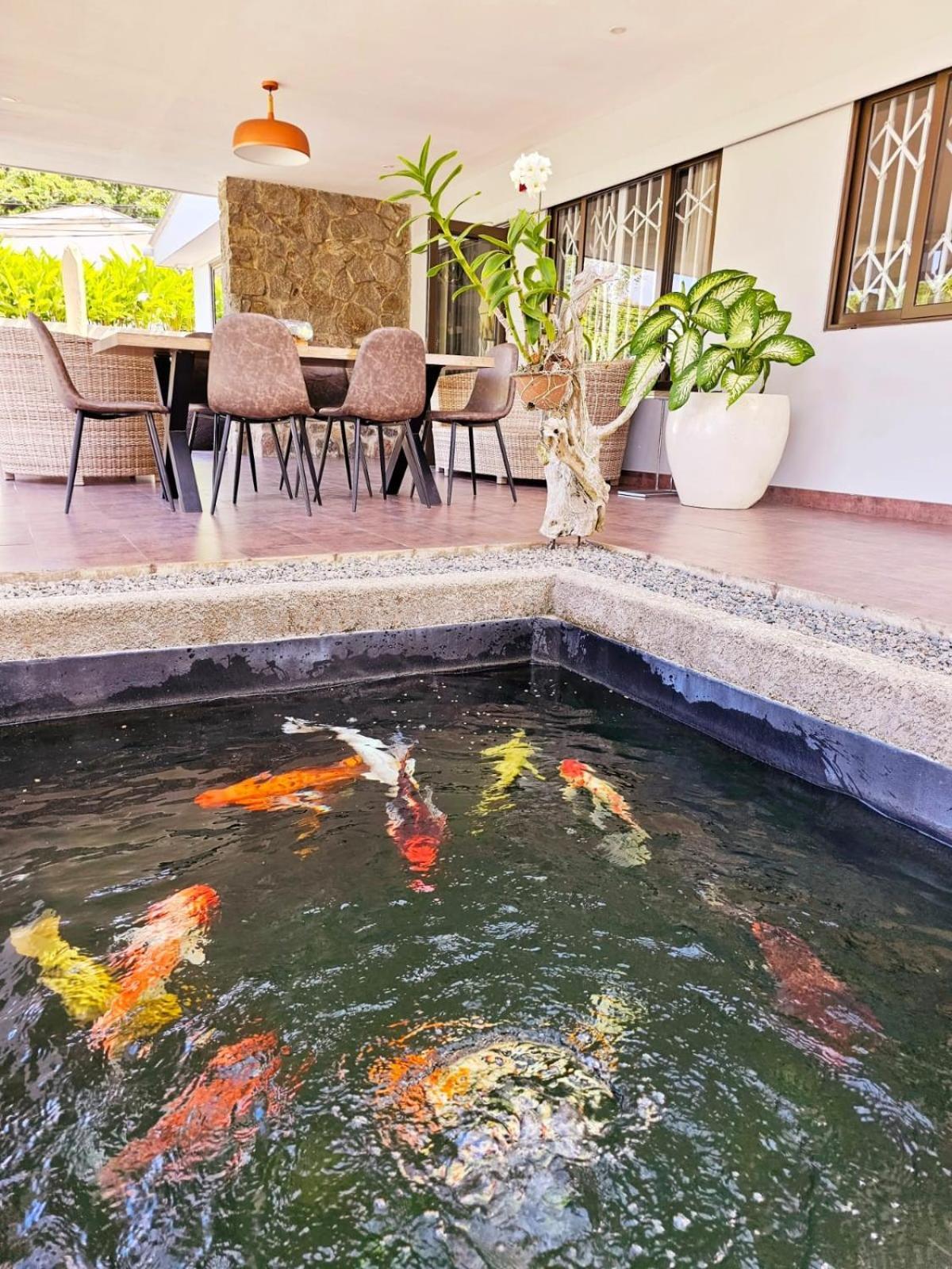 Villa Elodia By Le Duc Hotel & Villas Pointe Au Sel Kültér fotó